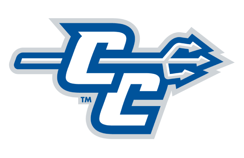 Central Connecticut Blue Devils 2017-2019 Helmet Logo diy iron on heat transfer